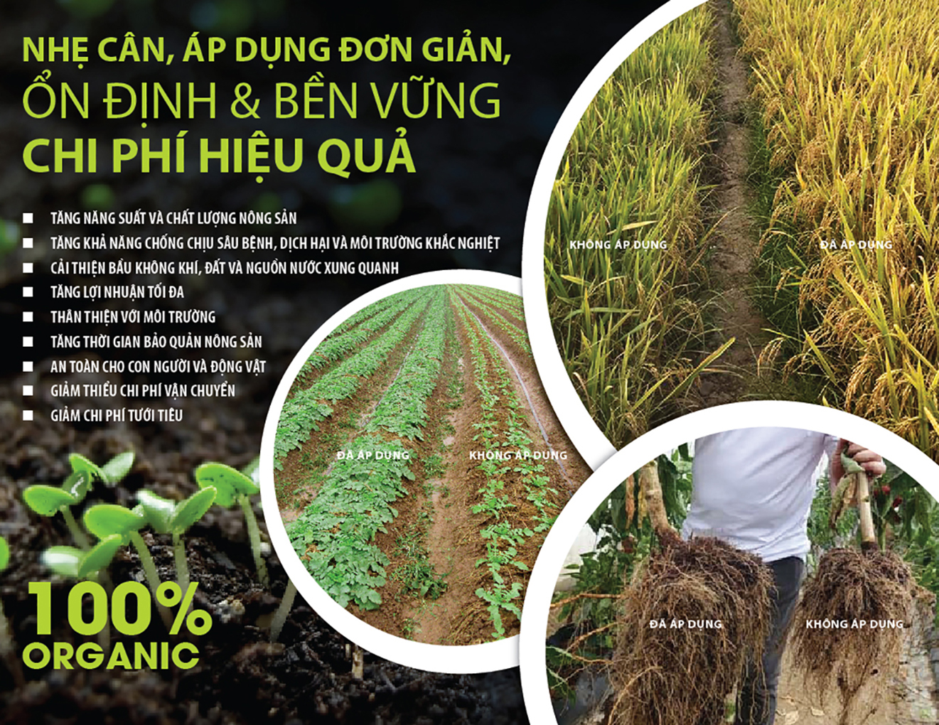 MICROBEBIO - BROCHURE - 4P - VIETNAMESE - P4 - TUAN