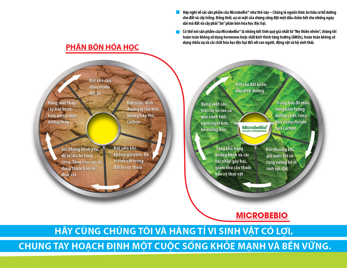 MICROBEBIO - BROCHURE - 4ps - 17x8.5 - 4-08-2019 - VIETNAMESE - TUAN5