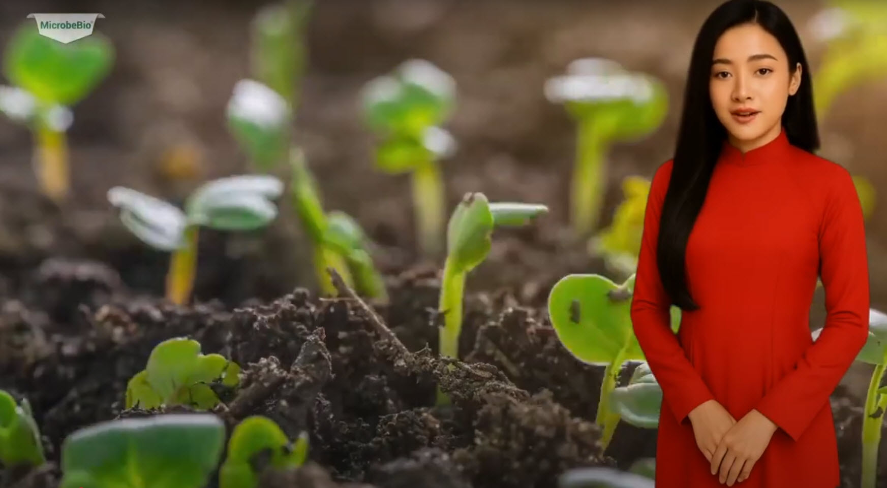 MicrobeBio: Tiên Phong Giải Pháp Vi Sinh Cho Nông Nghiệp Bền Vững